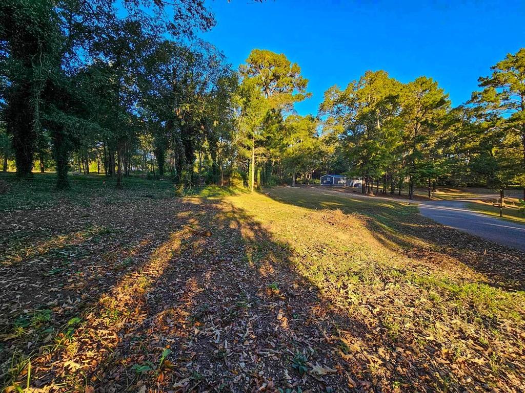 229 An County Road 385, Palestine, Texas image 12