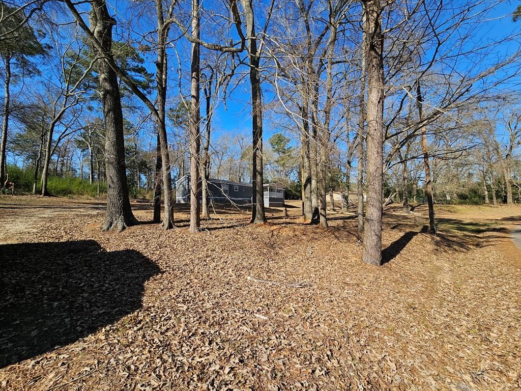 229 An County Road 385, Palestine, Texas image 43