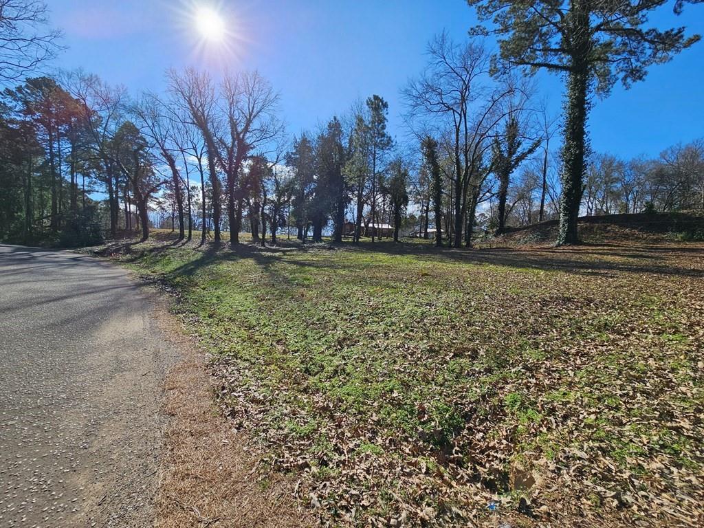 229 An County Road 385, Palestine, Texas image 44