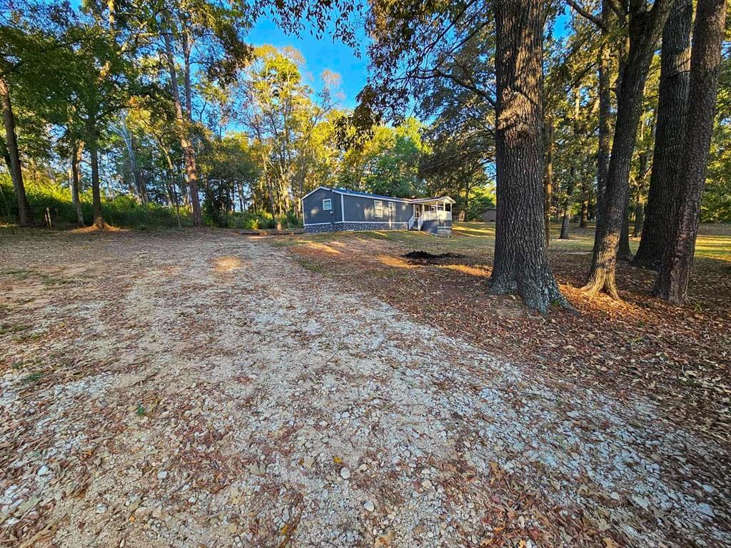 229 An County Road 385, Palestine, Texas image 3