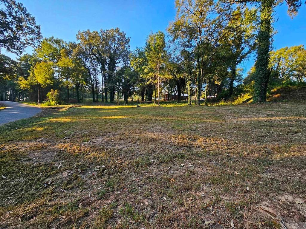229 An County Road 385, Palestine, Texas image 15