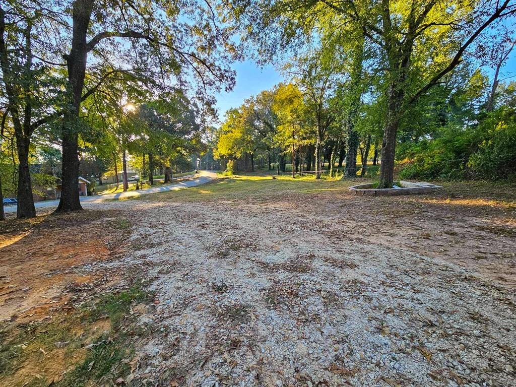 229 An County Road 385, Palestine, Texas image 13