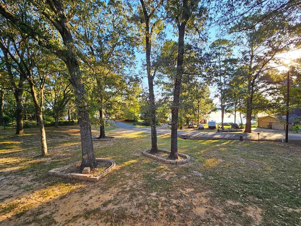 229 An County Road 385, Palestine, Texas image 18