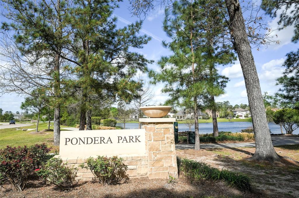 18 Star Iris Place, Tomball, Texas image 46