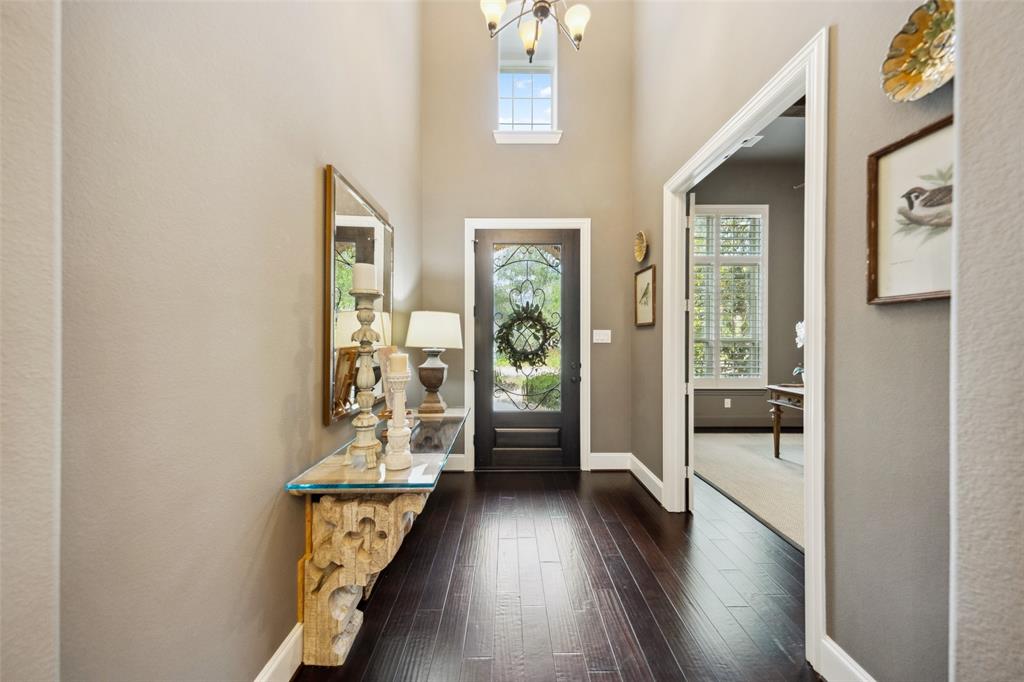 18 Star Iris Place, Tomball, Texas image 4
