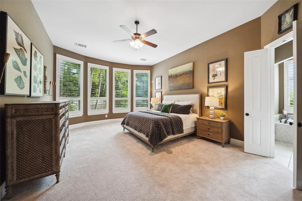 18 Star Iris Place, Tomball, Texas image 20