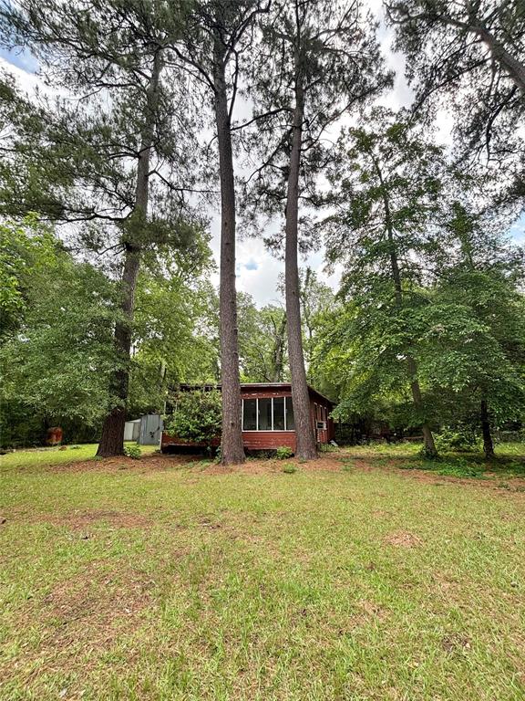 169 County Road 4134, Woodville, Texas image 2
