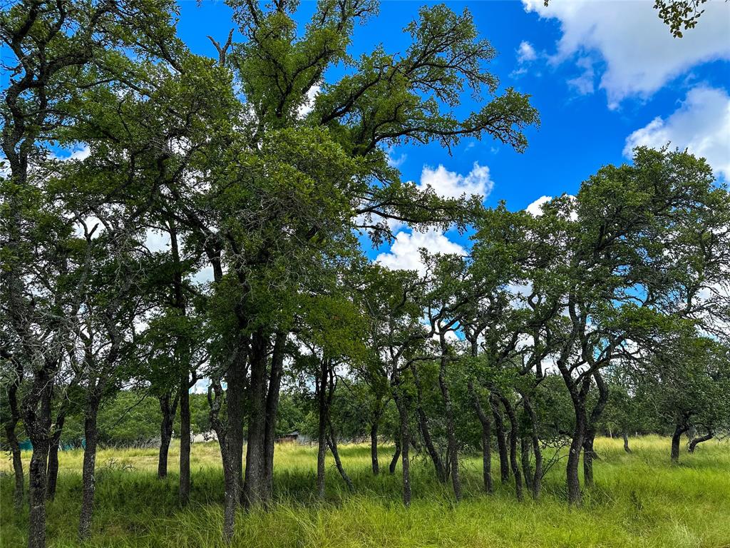 3942 Mount Sharp Road, Wimberley, Texas image 21