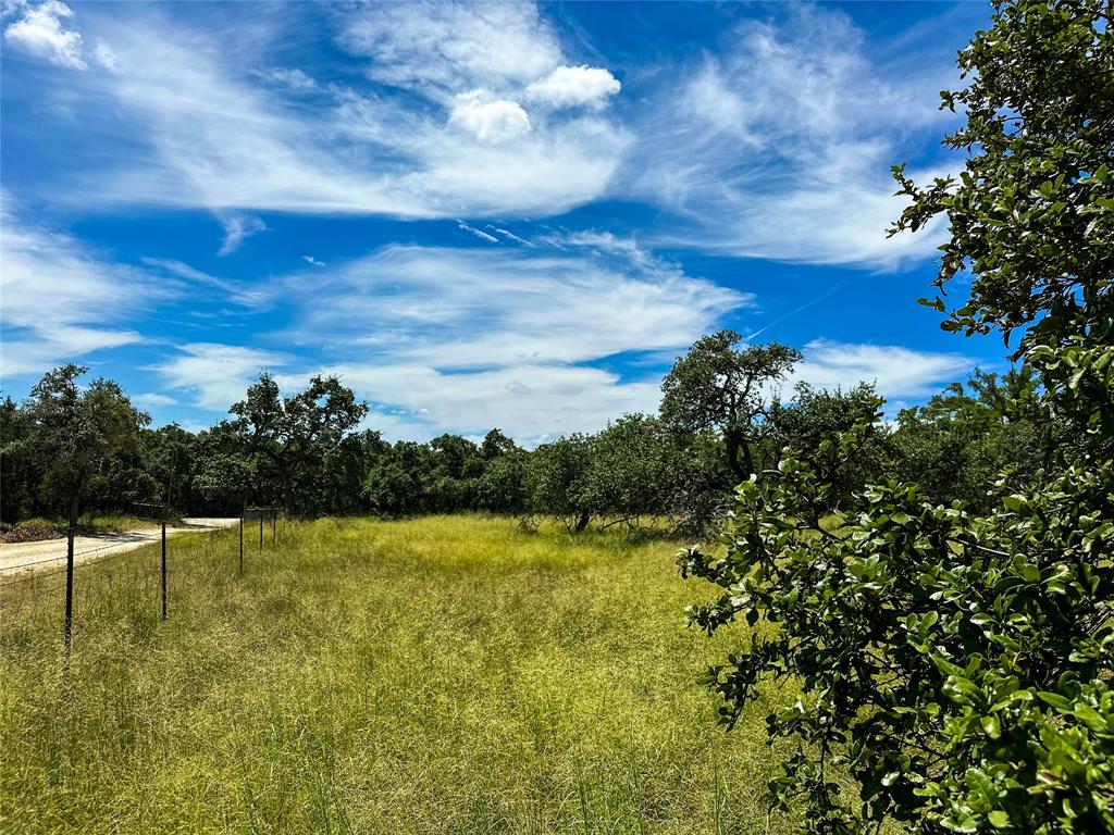 3942 Mount Sharp Road, Wimberley, Texas image 7