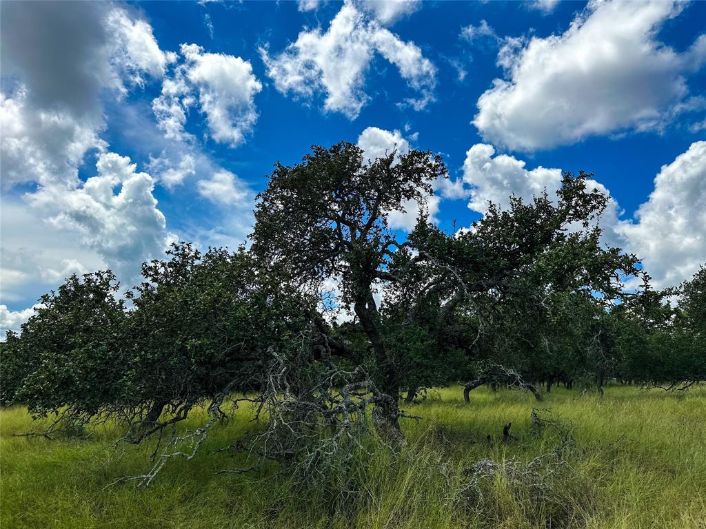 3942 Mount Sharp Road, Wimberley, Texas image 25