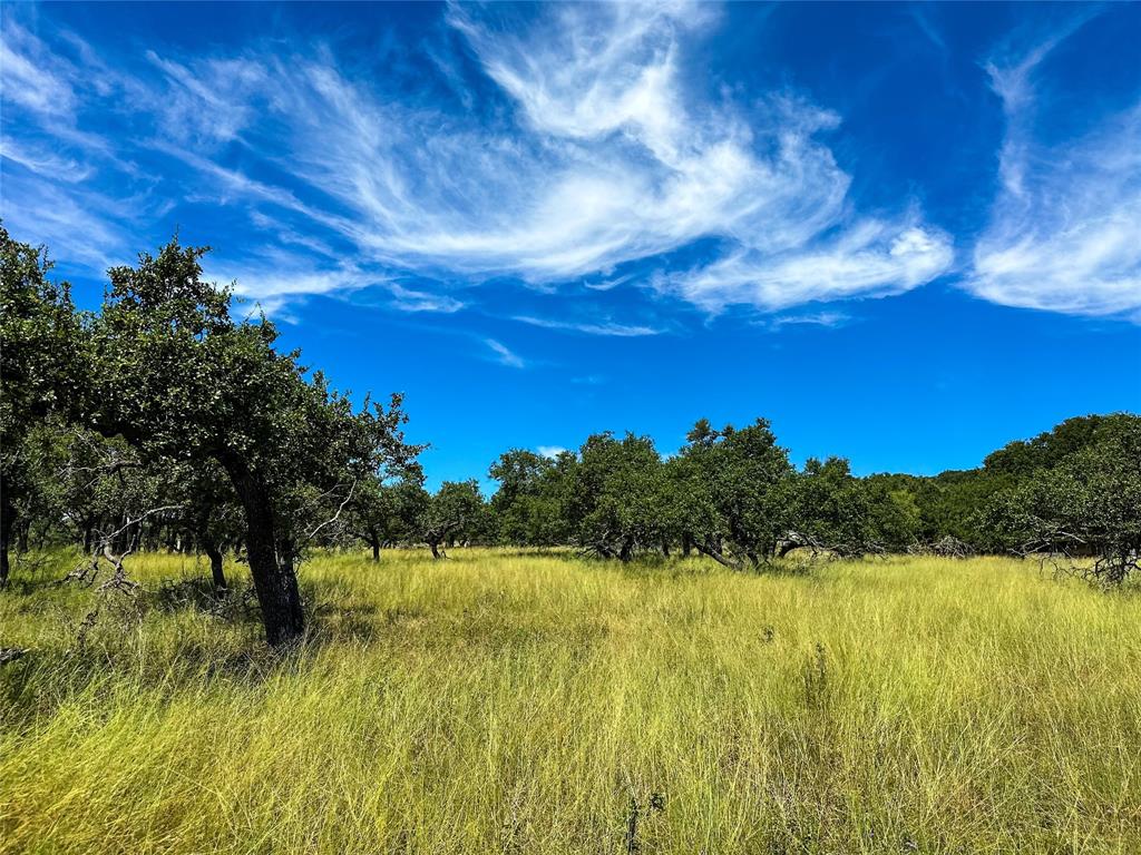 3942 Mount Sharp Road, Wimberley, Texas image 10