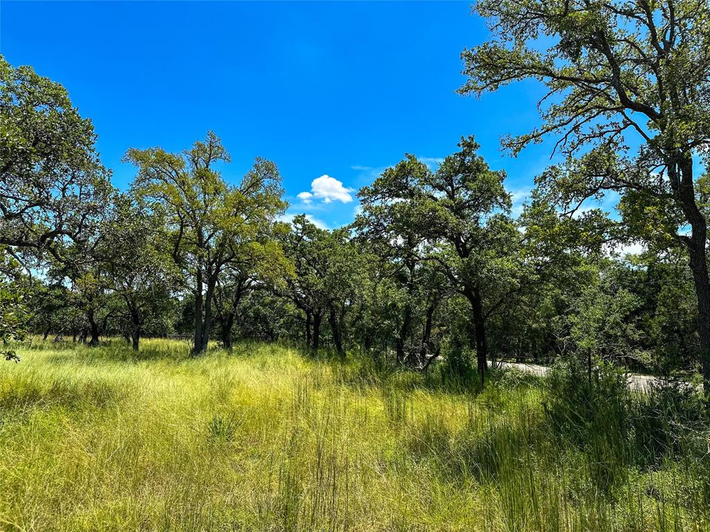 3942 Mount Sharp Road, Wimberley, Texas image 14