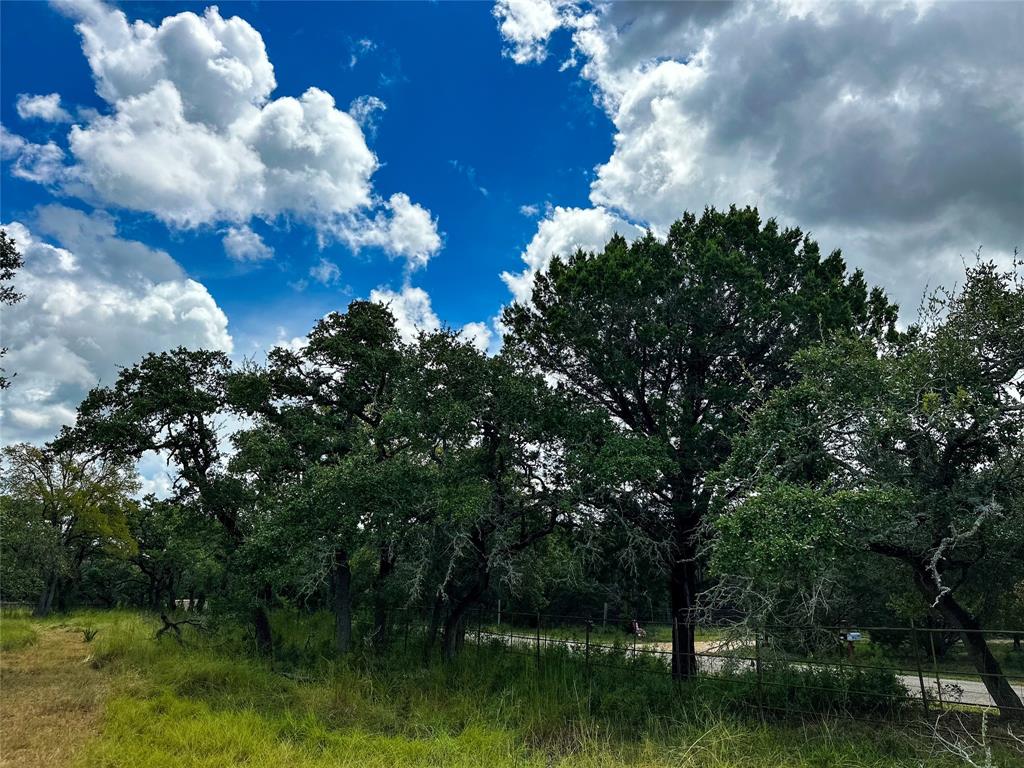 3942 Mount Sharp Road, Wimberley, Texas image 19