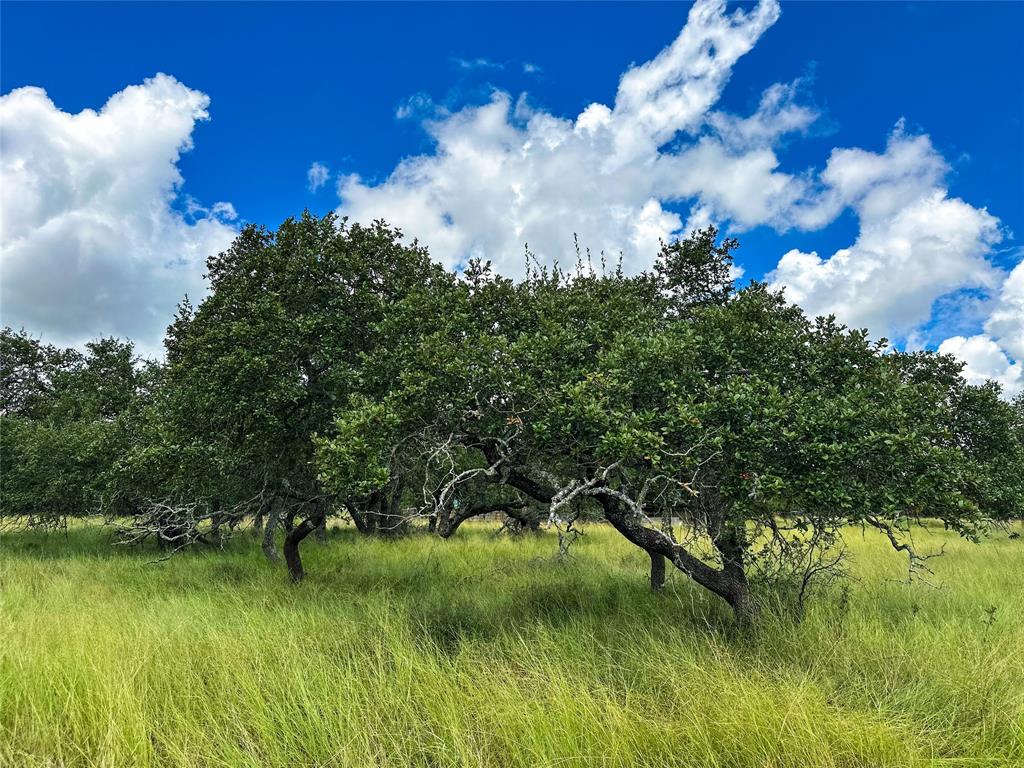 3942 Mount Sharp Road, Wimberley, Texas image 24