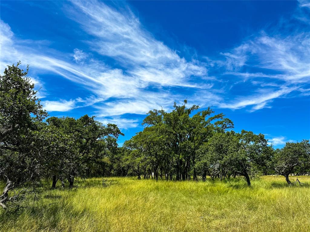 3942 Mount Sharp Road, Wimberley, Texas image 11