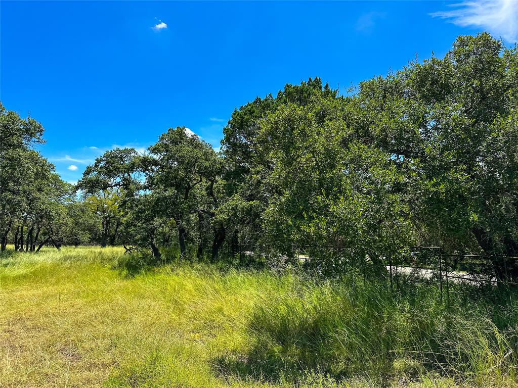 3942 Mount Sharp Road, Wimberley, Texas image 15