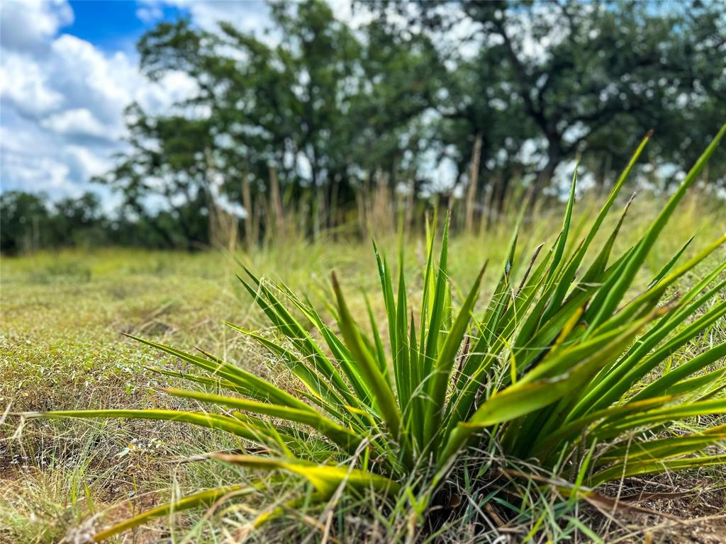 3942 Mount Sharp Road, Wimberley, Texas image 32