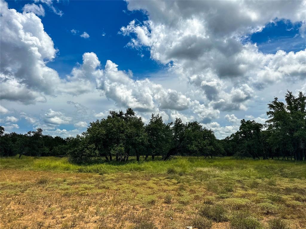 3942 Mount Sharp Road, Wimberley, Texas image 30