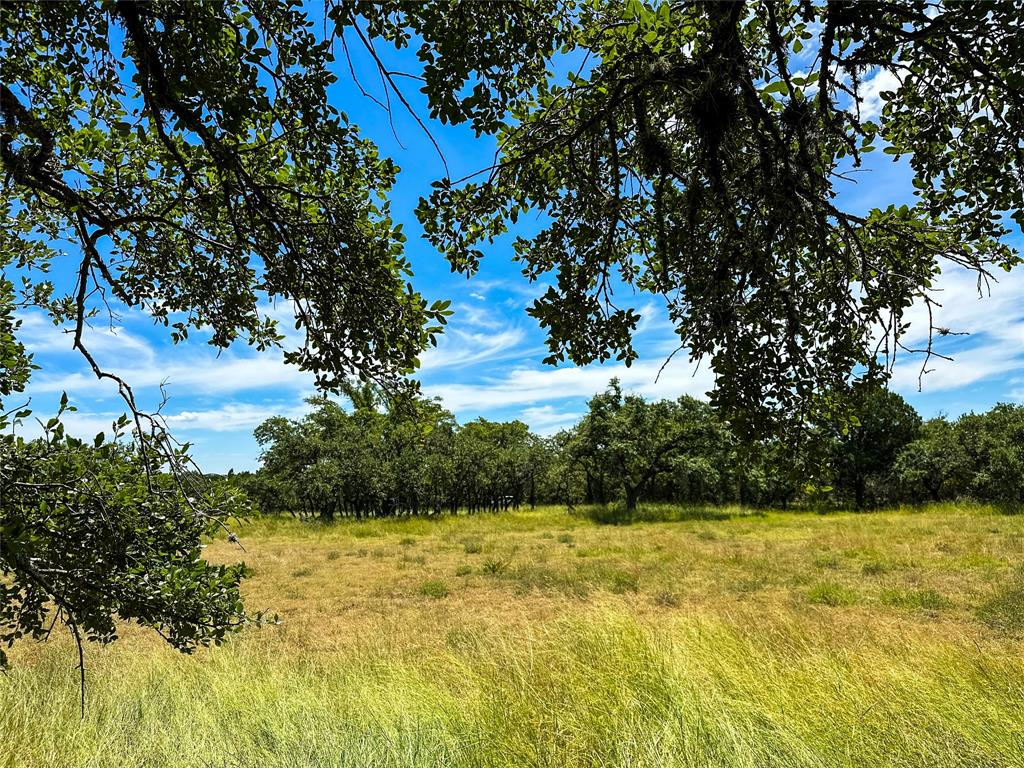 3942 Mount Sharp Road, Wimberley, Texas image 3