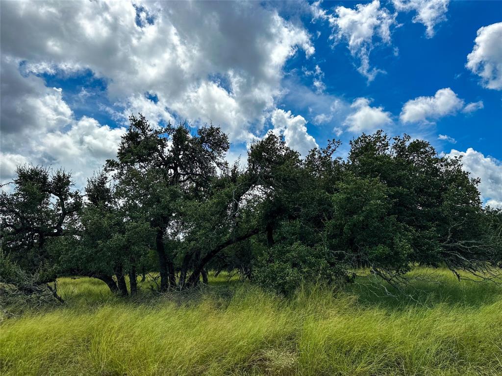 3942 Mount Sharp Road, Wimberley, Texas image 27