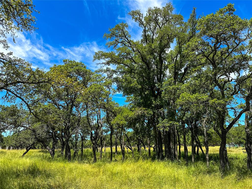 3942 Mount Sharp Road, Wimberley, Texas image 12