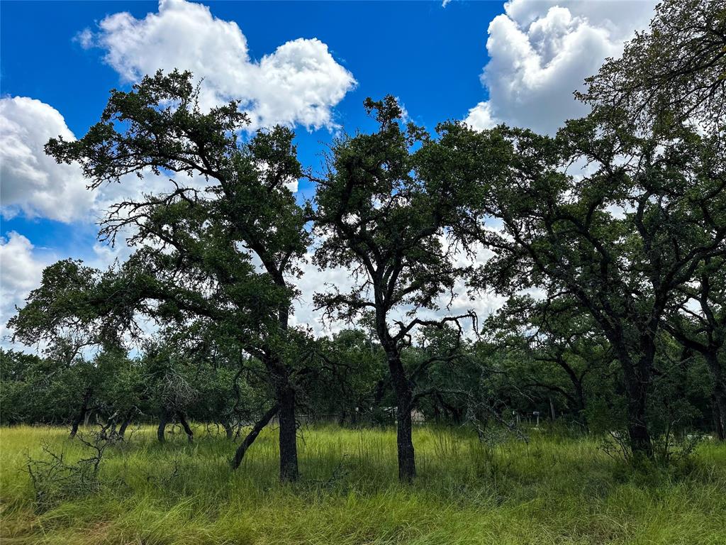 3942 Mount Sharp Road, Wimberley, Texas image 22