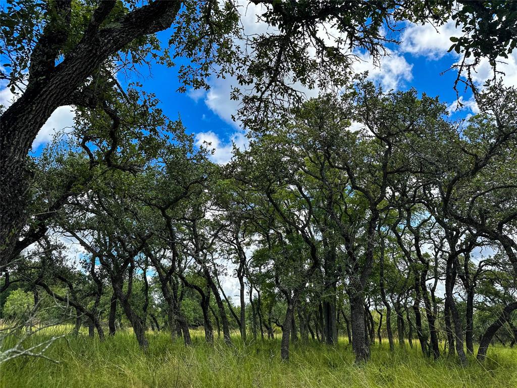 3942 Mount Sharp Road, Wimberley, Texas image 20