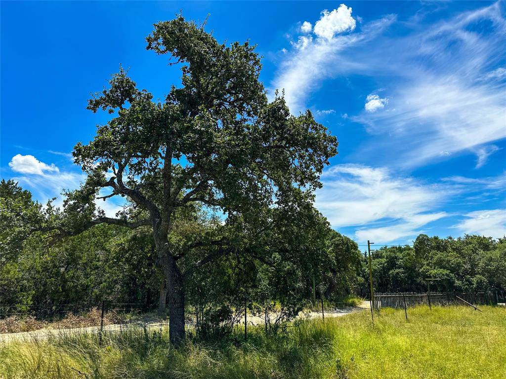 3942 Mount Sharp Road, Wimberley, Texas image 9