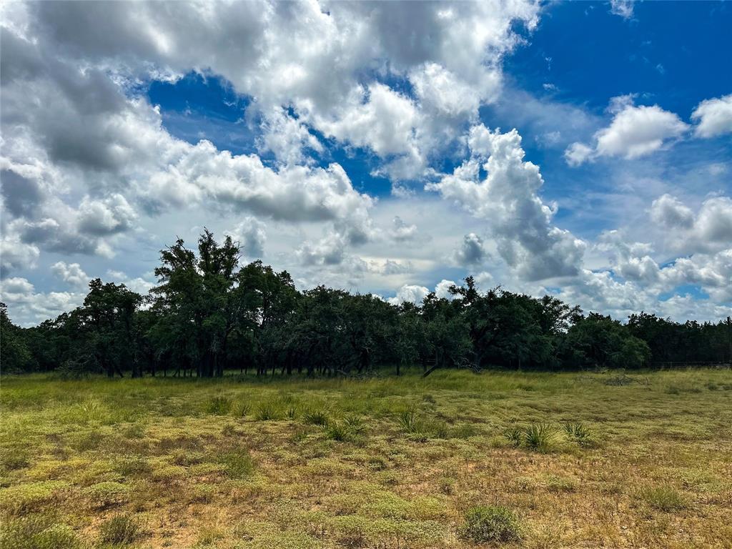 3942 Mount Sharp Road, Wimberley, Texas image 29