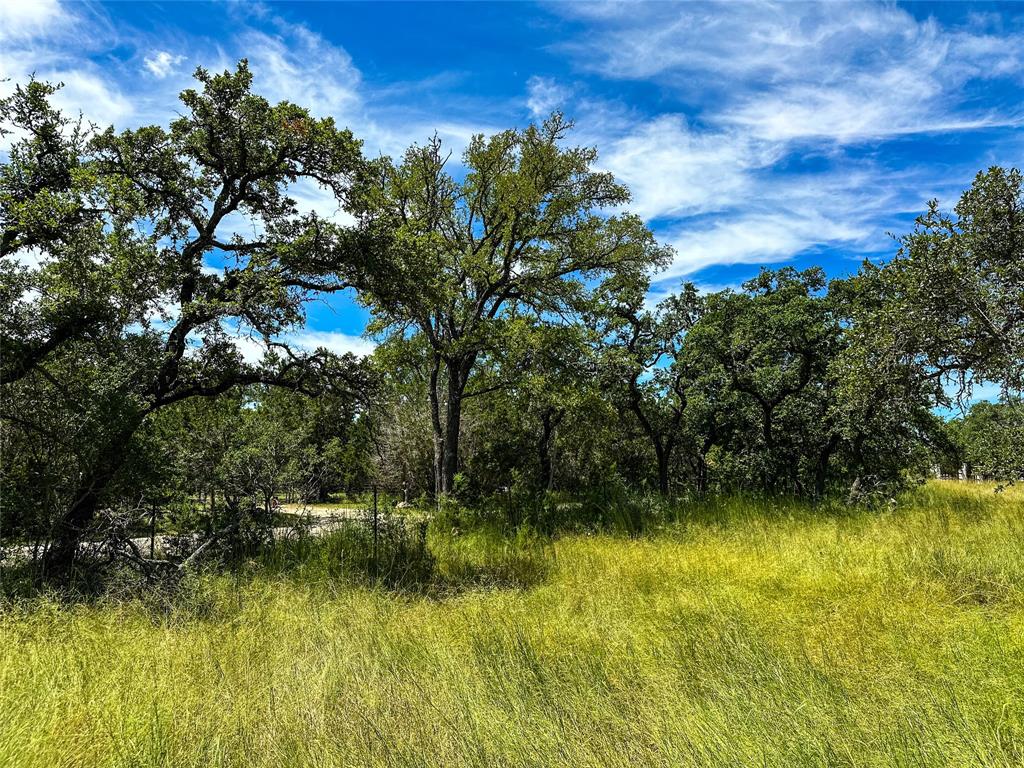 3942 Mount Sharp Road, Wimberley, Texas image 13