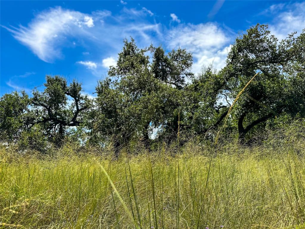 3942 Mount Sharp Road, Wimberley, Texas image 6