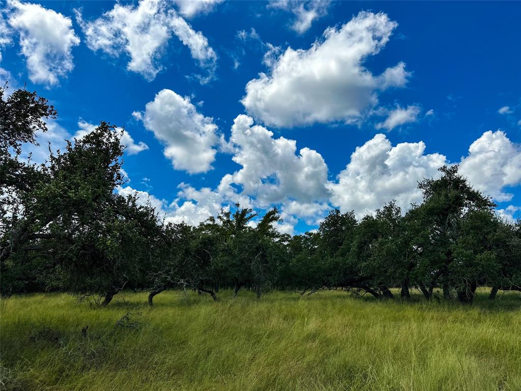 3942 Mount Sharp Road, Wimberley, Texas image 26