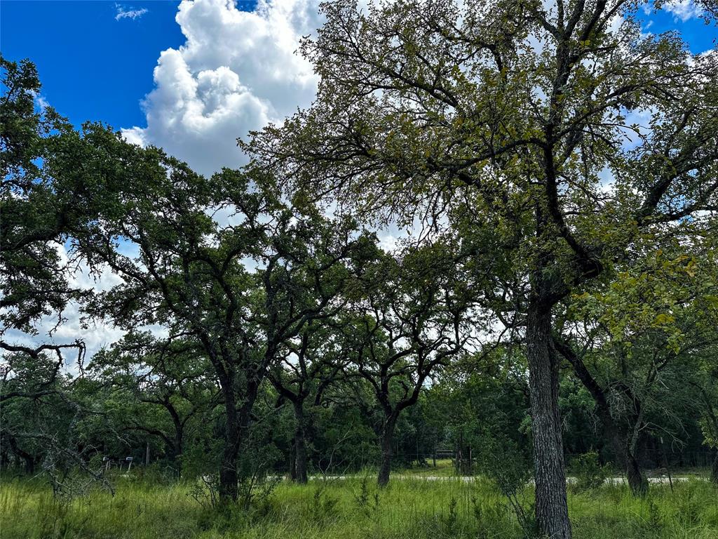 3942 Mount Sharp Road, Wimberley, Texas image 23