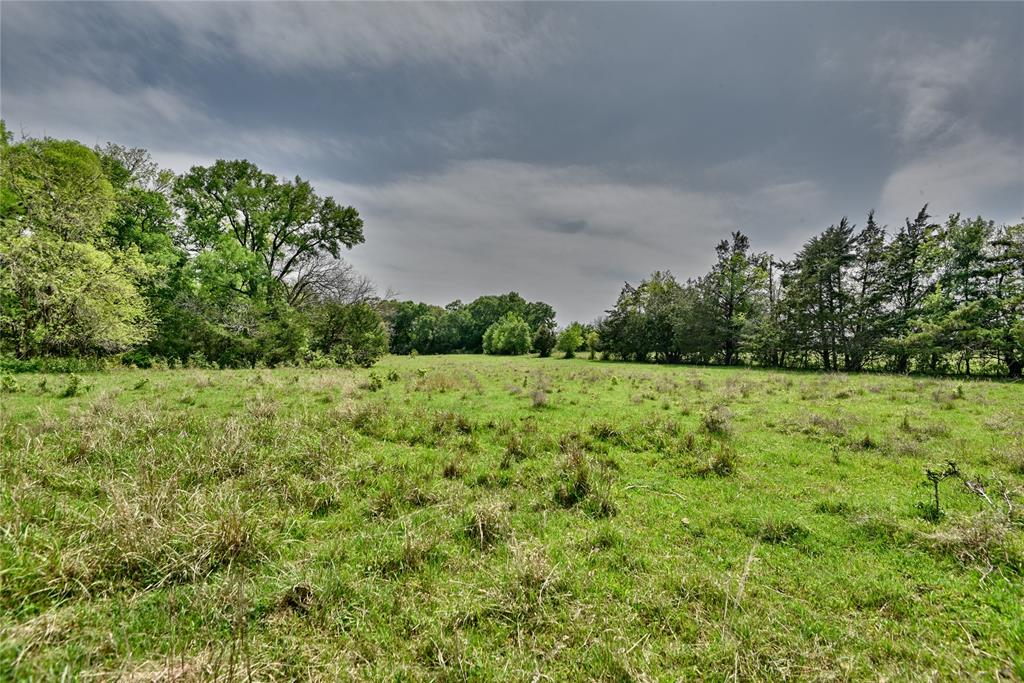 3521 Bryant Road, Schulenburg, Texas image 34