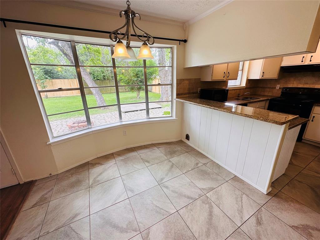 16114 Barcelona Drive, Friendswood, Texas image 18