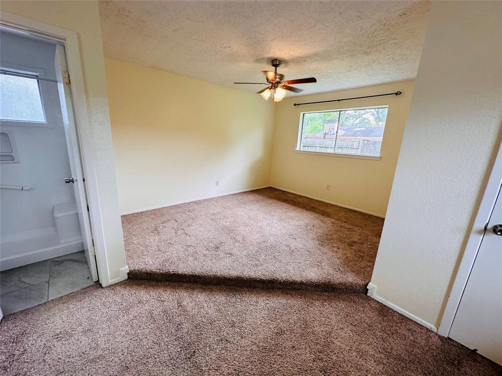16114 Barcelona Drive, Friendswood, Texas image 29