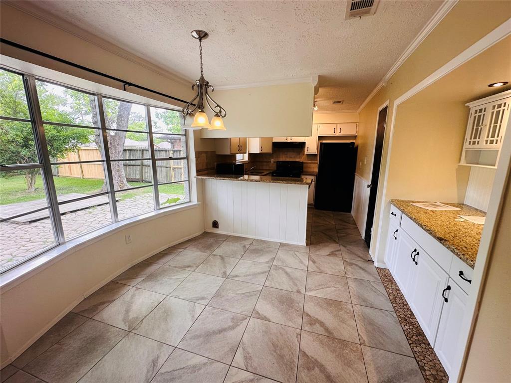 16114 Barcelona Drive, Friendswood, Texas image 17