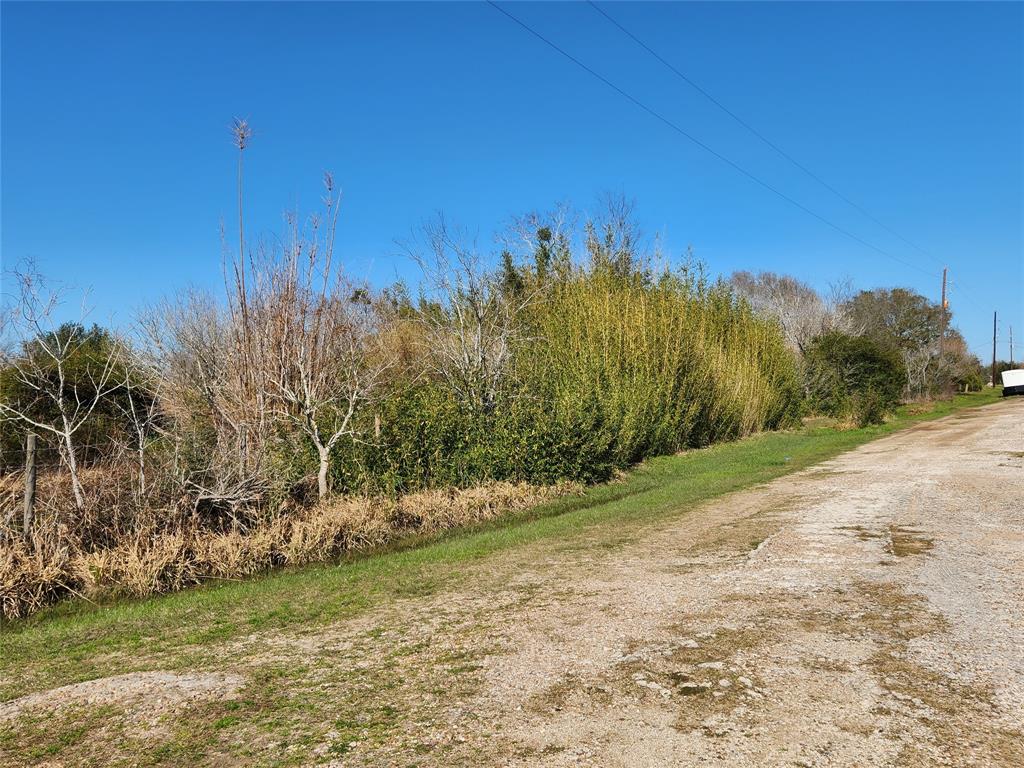 9810 E Creek Bend Drive, Needville, Texas image 8