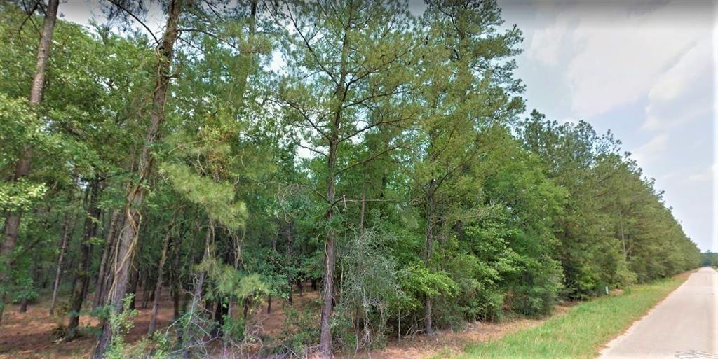 00 Magnolia Circle, Magnolia, Texas image 3