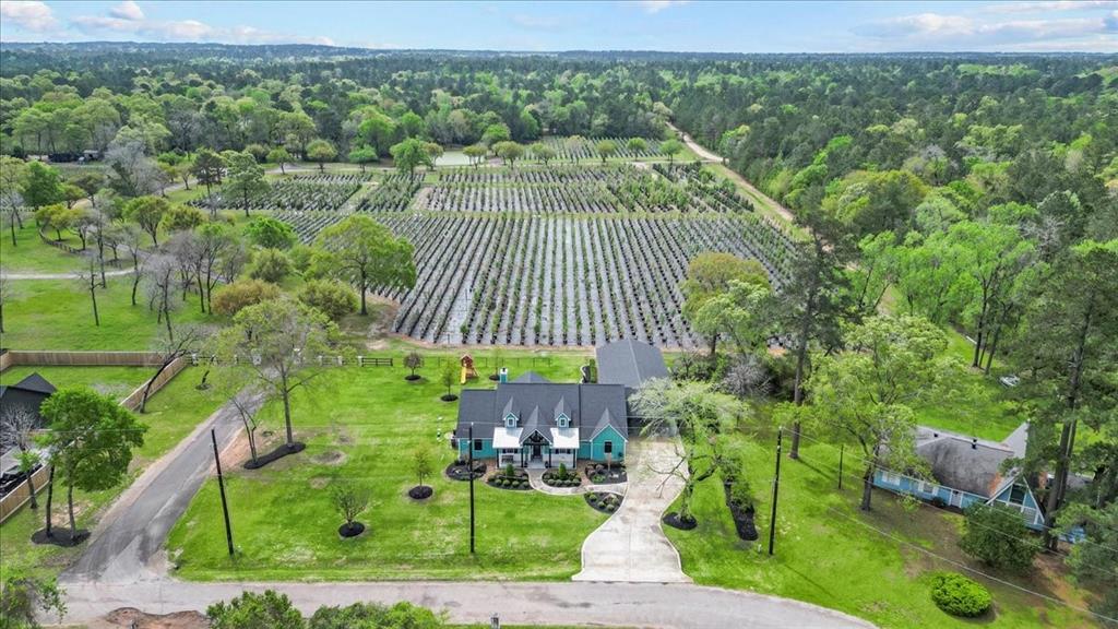15637 Knotty Oaks Trail Trl, Magnolia, Texas image 38