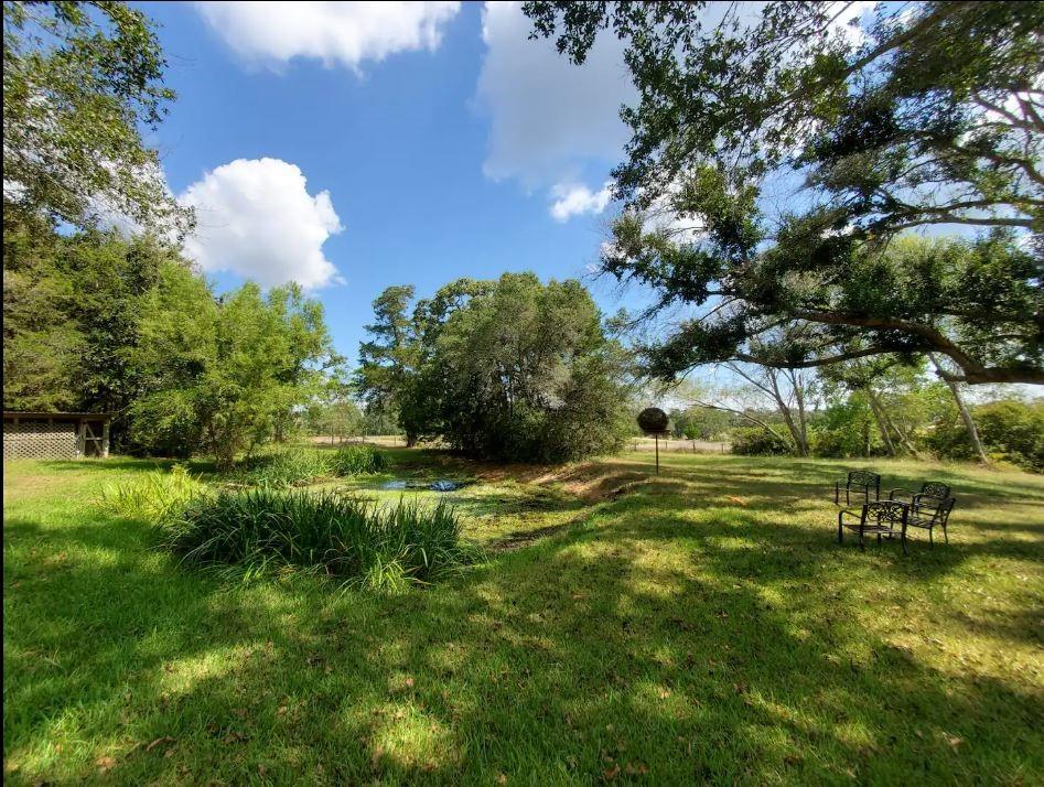 1467 Bostik Road, Cat Spring, Texas image 17