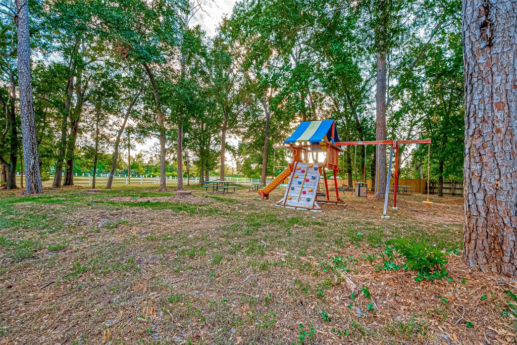 11536 Persimmon Street, Willis, Texas image 32