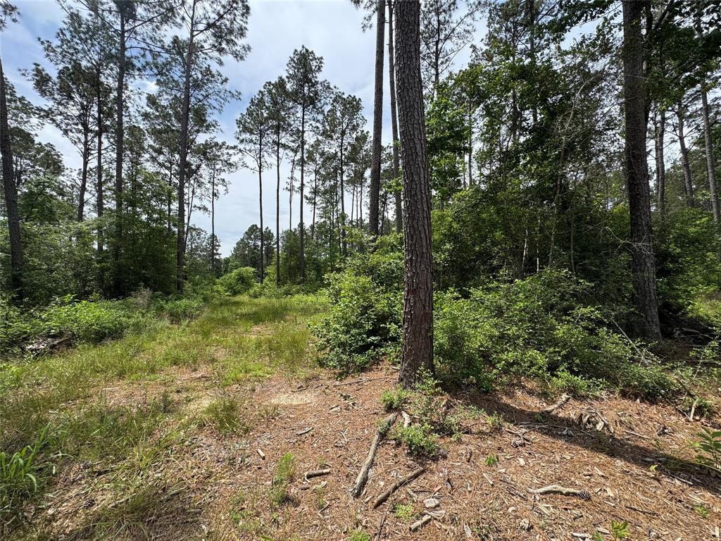 1859 Mill Gate Road, Livingston, Texas image 16