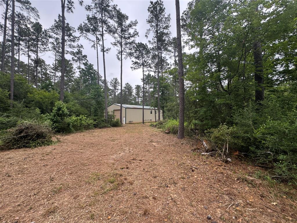 1859 Mill Gate Road, Livingston, Texas image 9