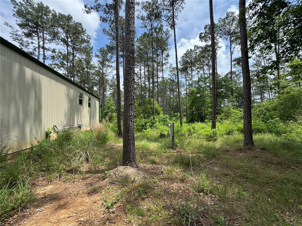 1859 Mill Gate Road, Livingston, Texas image 10