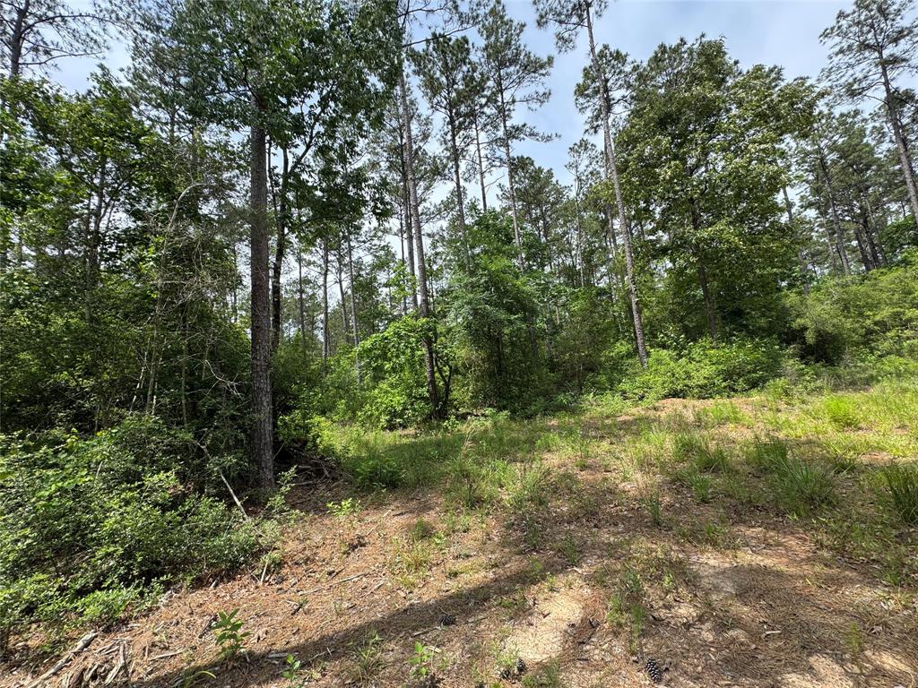 1859 Mill Gate Road, Livingston, Texas image 7