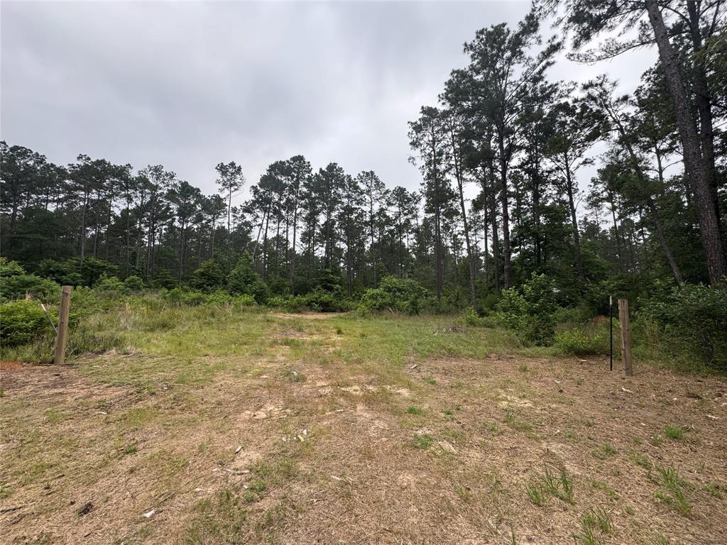 1859 Mill Gate Road, Livingston, Texas image 17