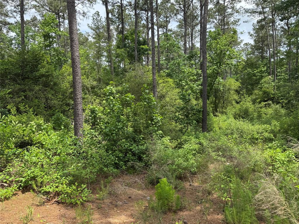 1859 Mill Gate Road, Livingston, Texas image 8