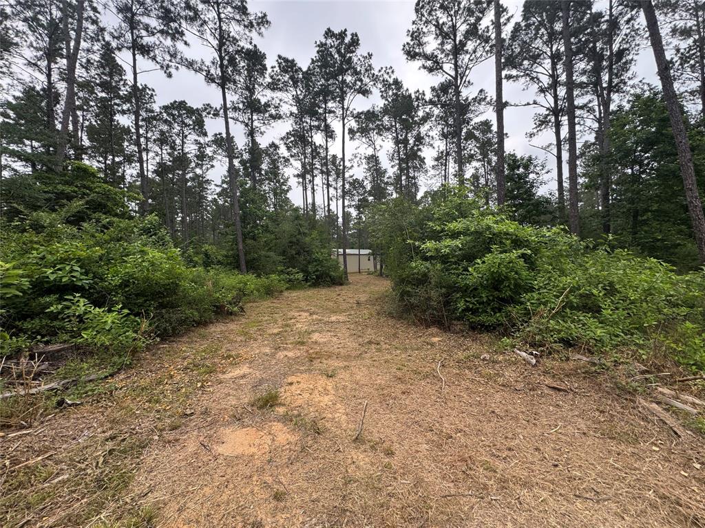 1859 Mill Gate Road, Livingston, Texas image 18