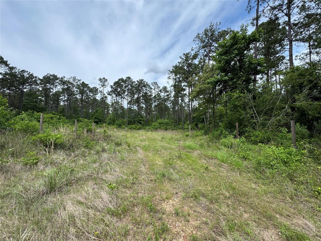 1859 Mill Gate Road, Livingston, Texas image 4